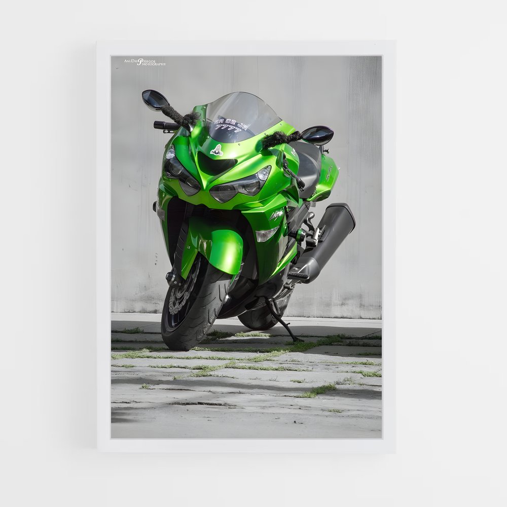 Poster Ninja Vert (vue 3)